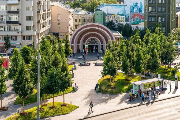 В столице реализуется масштабная программа озеленения крупных магистралей