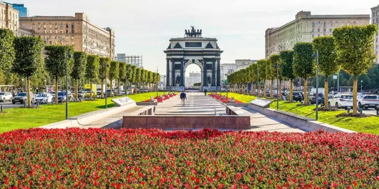 Тюльпаны, бегония, виола: в этом году столицу украсит более 56 млн  цветов