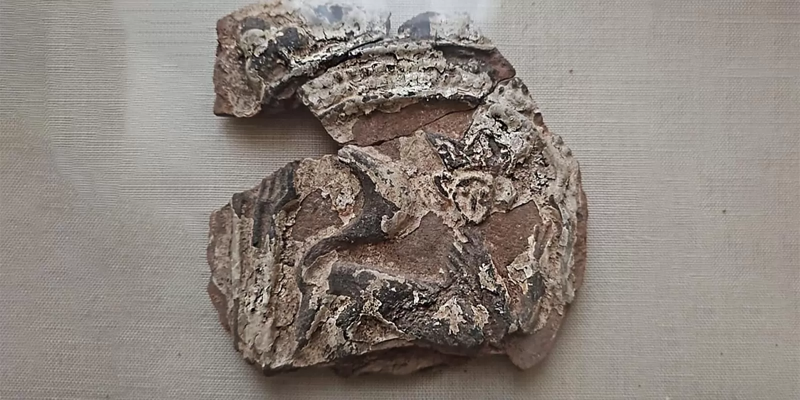 Московские археологи нашли 400-летние изразцы с кошками в коронах