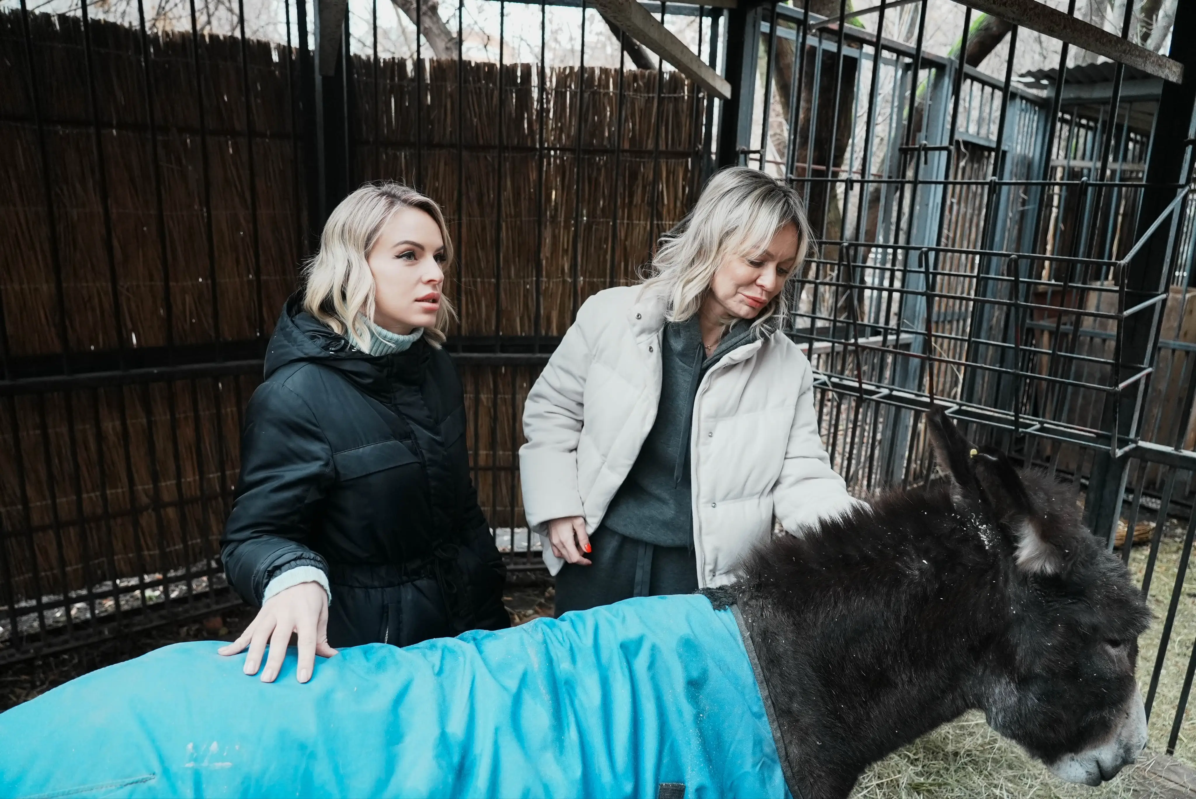 Активистки «Женского движения» навестили ослика Жорика в Московском зоопарке