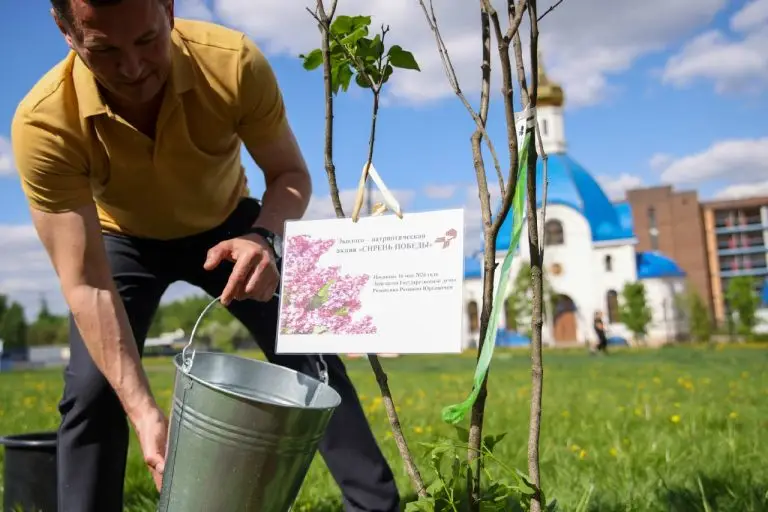 Депутат Госдумы Роман Романенко принял участие в акции «Сирень Победы» на юго-западе столицы