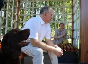 В районе Северный прошли встречи о безопасности для жителей