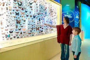 «Хобби-фест» пройдет в Москве 26 и 27 сентября
