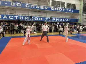 Фестиваль единоборств «Битва за Москву» собрал более 330 спортсменов